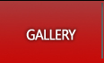 Technicaliya Photo Gallery