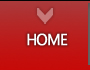 Technicaliya Home
