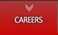 Technicaliya Careers